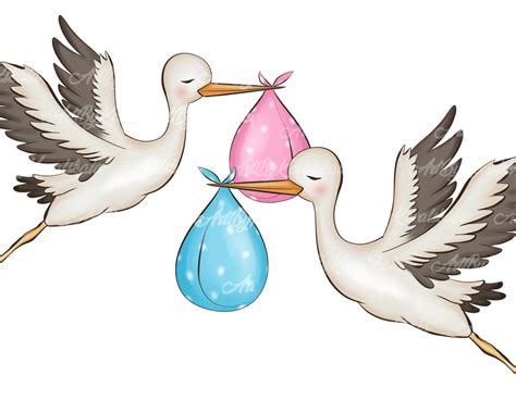 Stork Clipart, Stork PNG, Baby Shower Clipart, Digital Download - Etsy