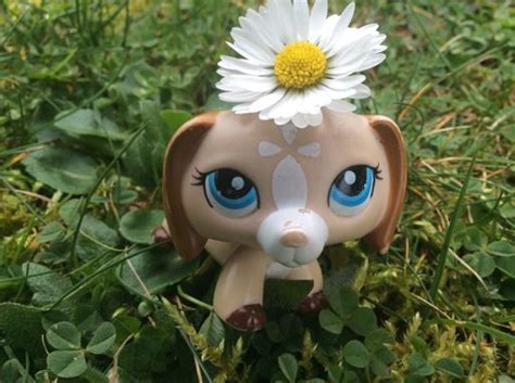 My Mascot Wiki Lps Amino