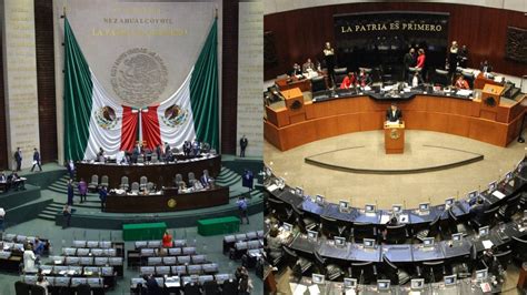 Diferencias entre diputados y senadores en qué se distinguen sus