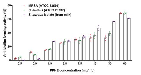 The Anti Biofilm Forming Activity Of Different Concentrations Of Rabab