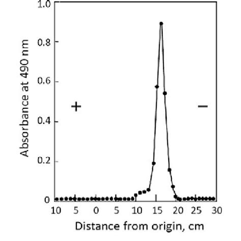 Gel Filtration Chromatography In Sepharose Cl 6b 100 Cm 9 25 Cm Of Download Scientific