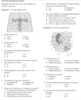 Male And Female Reproductive Systems Unit Test EDITABLE By PopBio