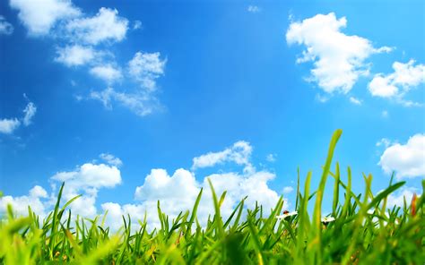 Grass And Sky Wallpaper 71 Images