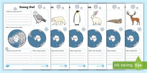 Polar Animals Fact File | Arctic Habitat Worksheets - Twinkl