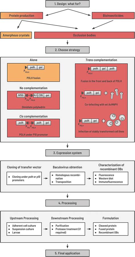 Flowchart Diagram Of The Entire Process From Design Of The Transfer