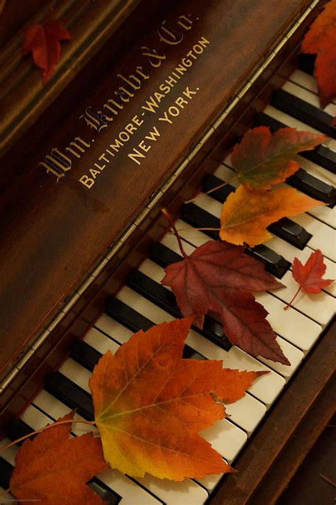 Autumn Piano 11 Photograph by Mick Anderson