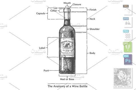 The Anatomy Of A Wine Bottle Wine Bottle Bottle Wine