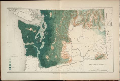 Washington State Forest Map