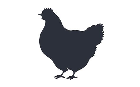 Poule Poulet Poule Poulet Noir Silhouette Blanche Vecteur Premium