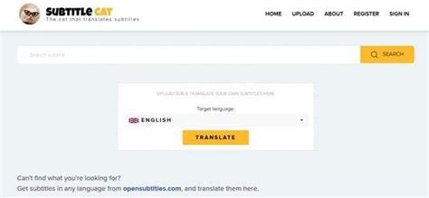 Your Essential Guide To Translating Videos With Subtitle Cat