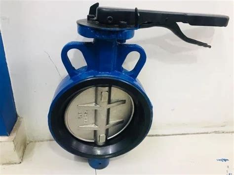 Ci Butterfly Valves Wafer End At Rs In Ahmedabad Id