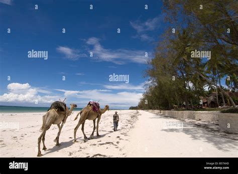 Diani Beach Near Mombasa Kenya East Africa Africa Stock Photo Alamy