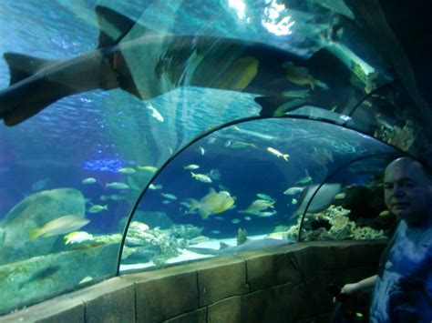 Ein Besuch Im Meerwasseraquarium Sealife Hannover Herrenhausen