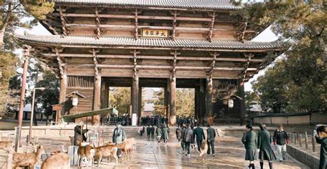 The BEST Nara Tours and Things to Do in 2022 - FREE Cancellation ...