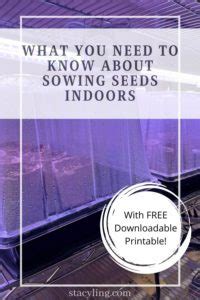 What You Need to Know About Sowing Seeds Indoors - Bricks 'n Blooms with Stacy Ling