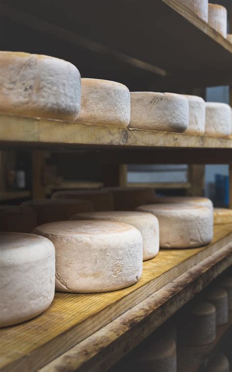 Le Fromage De La Ferme Des Carlines Saint Lary Tourisme