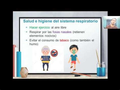 Tema 3 Salud e Higiene Ciencias Naturales 1o Básico YouTube