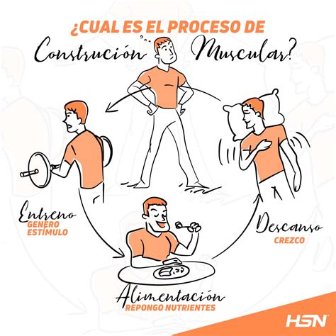 Aumenta Tu Volumen Con Estos Consejos Para Ganar Masa Muscular F E C C