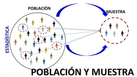 Diferencias Entre Poblacion Y Muestra Con Ejemplos Simples Images