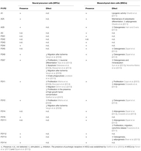 Frontiers Purinergic Signaling A Common Pathway For Neural And