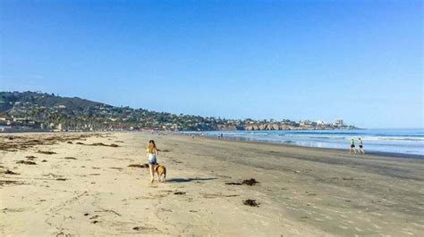 15 Best Beaches In San Diego For Families Scuba Diving Lovers