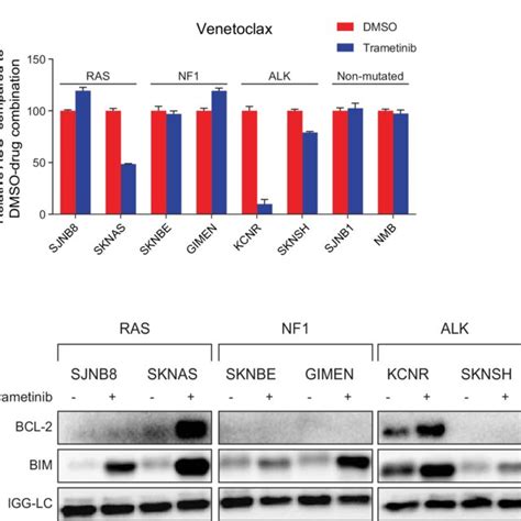 MEK Inhibition Sensitizes Neuroblastoma Cell Lines With An Active