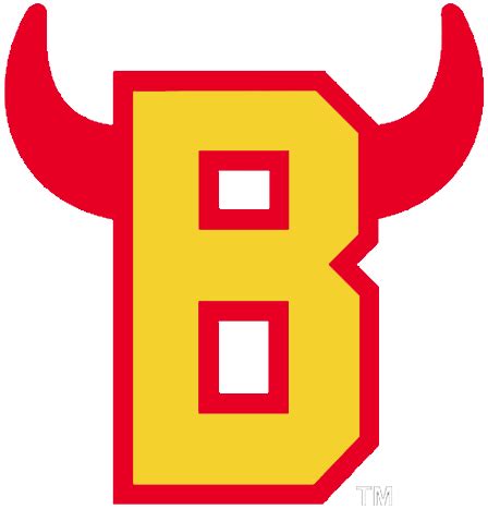 Belleville Bulls Logo - Alternate Logo - Ontario Hockey League (OHL ...