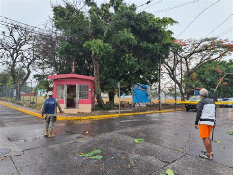 Atiende Protección Civil de Córdoba reportes de árboles caídos tras el