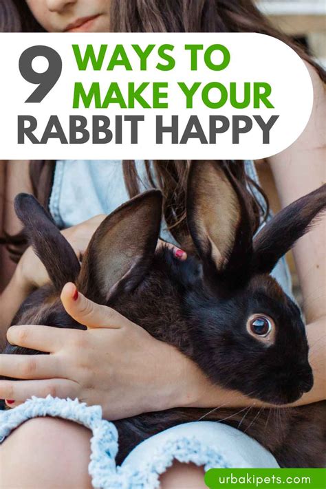 9 Ways to Make your Rabbit Happy – Urbaki Pets