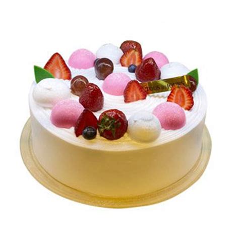 TOUS LES JOURS Cloud Cream Cake #4 - Viet Flowers