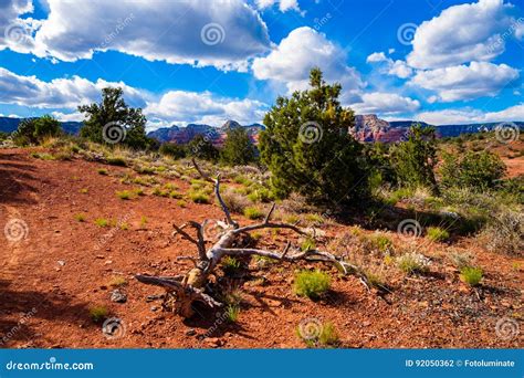 Beautiful Sedona Landscape Stock Photo Image Of United 92050362