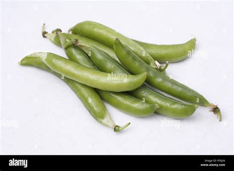 Vegetable Green Peas Pod Pisum Sativum On White Background Stock Photo