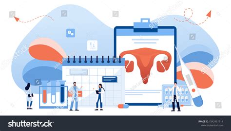 Gynecology Female Health Uterus Ovary Womb Stock Vector Royalty Free