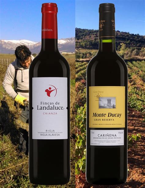 Crianza Et Gran Reserva D Espagne Vinformateur