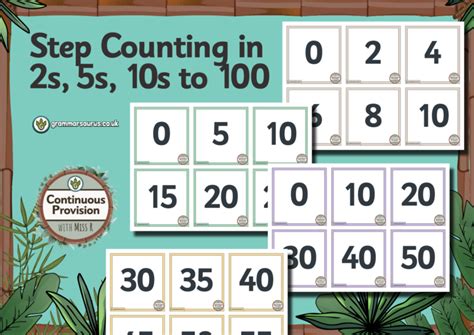 Continuous Provision Maths Step Counting In 2s 5s 10s To 100