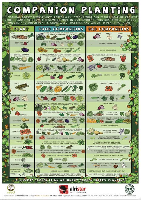 Printable Companion Planting Chart