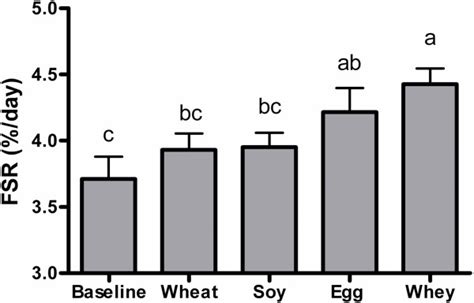 Experiment 1 Muscle Protein Synthesis. Rates of protein synthesis in... | Download Scientific ...