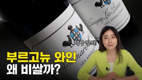 부르고뉴와인 초간단 정리 와인라벨 읽기 가성비 와인 추천 지극히 현실적인 부르고뉴 와인이 비싼 이유 YouTube