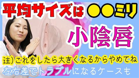 【大人のお話】女性の平均サイズは何ミリでしょうか？ したら大きくなる！？【湘南美容クリニック女医が解説】 清潔感ドットコム