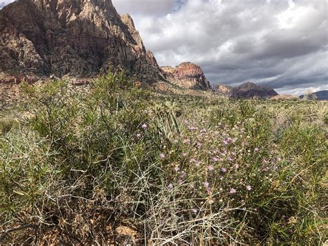 First Creek Canyon Trail Red Rock State Park Stuart Brooks Flickr