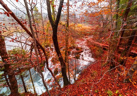 Wasserfall Fototapete Fluss Mit Wasserfall Asiatisch Tenstickers