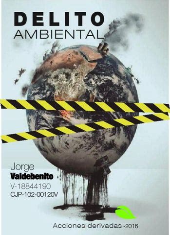 Delito Ambiental By Valdebenito Issuu