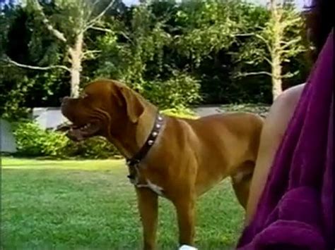 Orgía en la piscina XVIDEOS