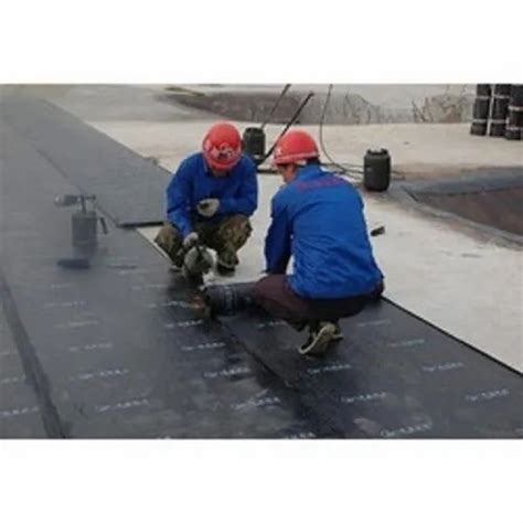 Roof Waterproofing Services At Rs 45 Square Feet In Pune Id 20451402455