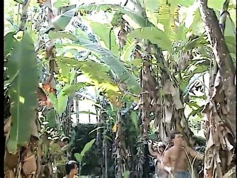 V Deos Porno De Selva Pel Culas De Sexo Xxx Gay Gratis Xhamster