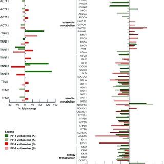 Proteomic Analysis In Human Skeletal Muscle Histograms Of Differential