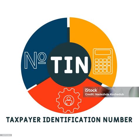 Tin Taxpayer Identification Number Acronym向量圖形及更多保安圖片 保安 商務 插圖 Istock