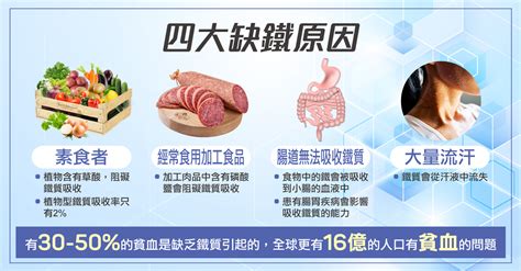 缺乏鐵質大危機失血外的四大缺鐵原因 Holos 新活方