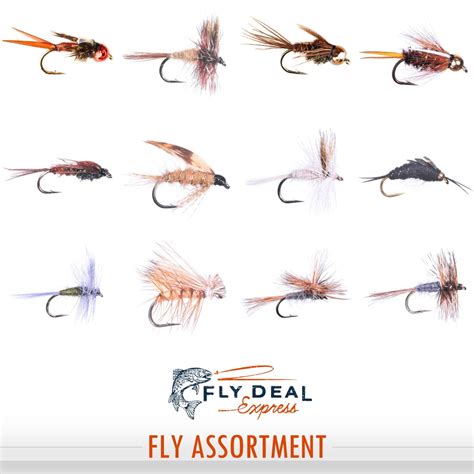 Wet And Dry Trout Fly Assortment Deluxe Fly Deal Flies