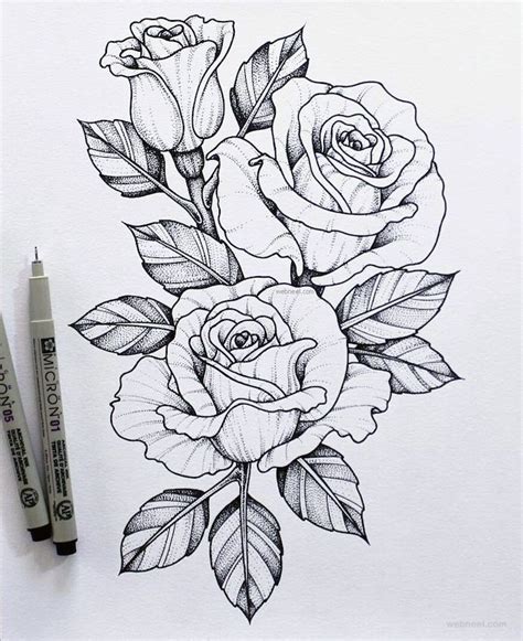 Los Mejores Ejemplos De Dibujos De Rosas